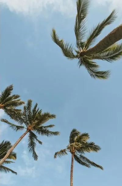 Kauai Island