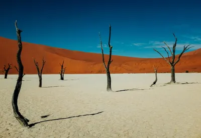 Sossusvlei