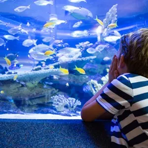 Reef World Hervey Bay