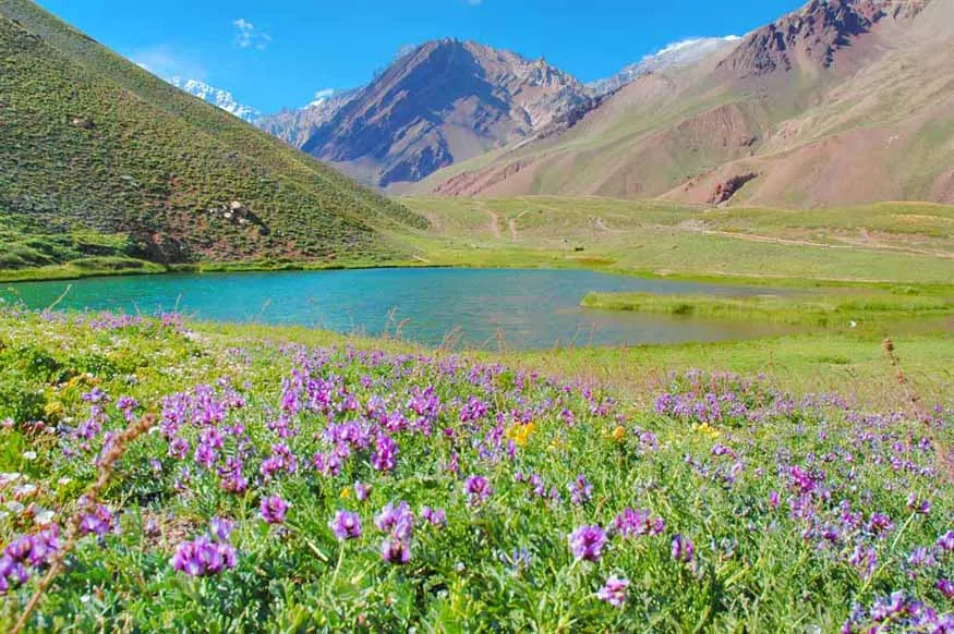 Andean Elegance: An Argentine Adventure in Culture, Ski and Wine