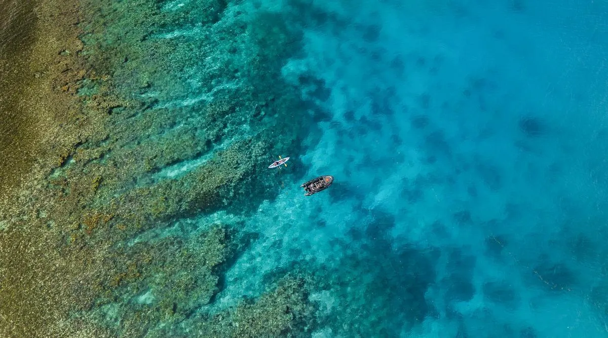 Seychelles to the Serengeti Grand Adventure