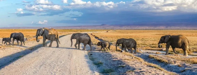 Amboseli National Park
