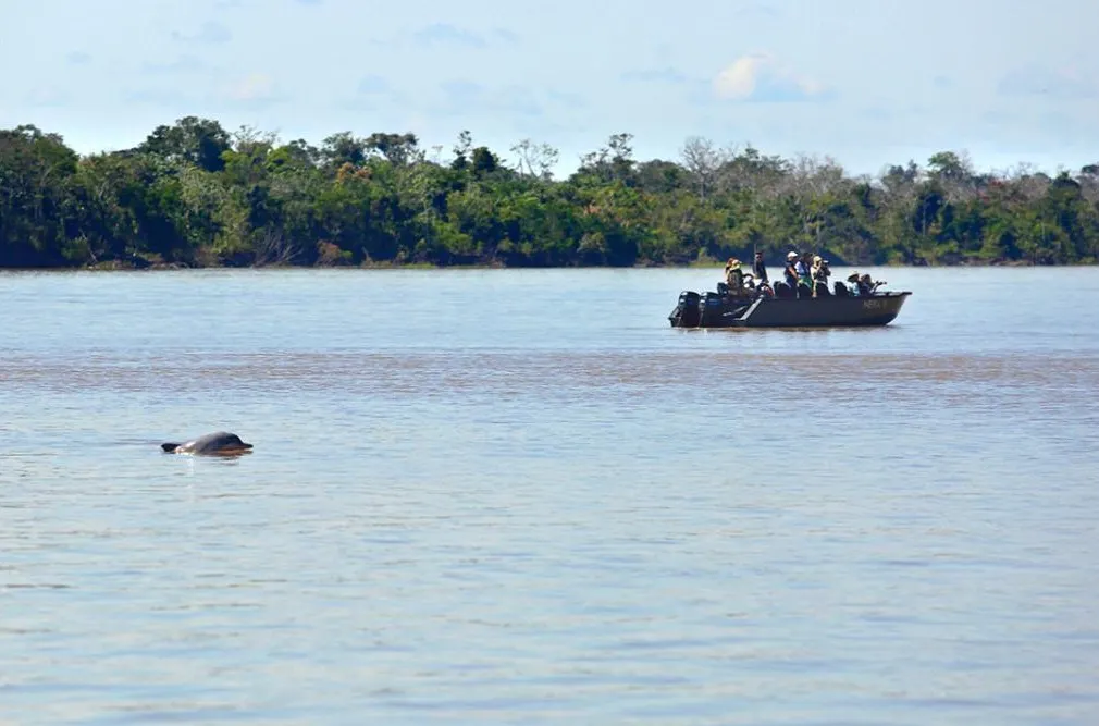 Aria Amazon Explorer Cruise