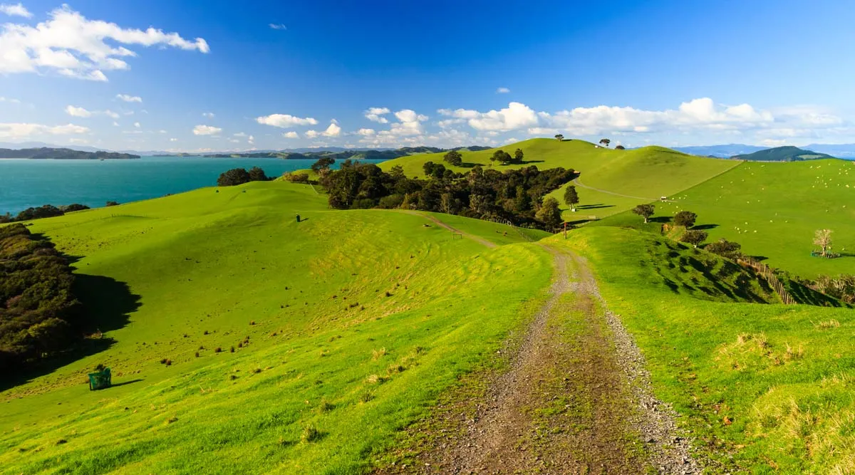 Auckland Pre or Post Cruise