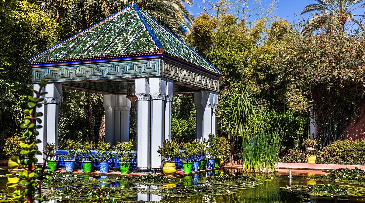 Marrakech Discovery
