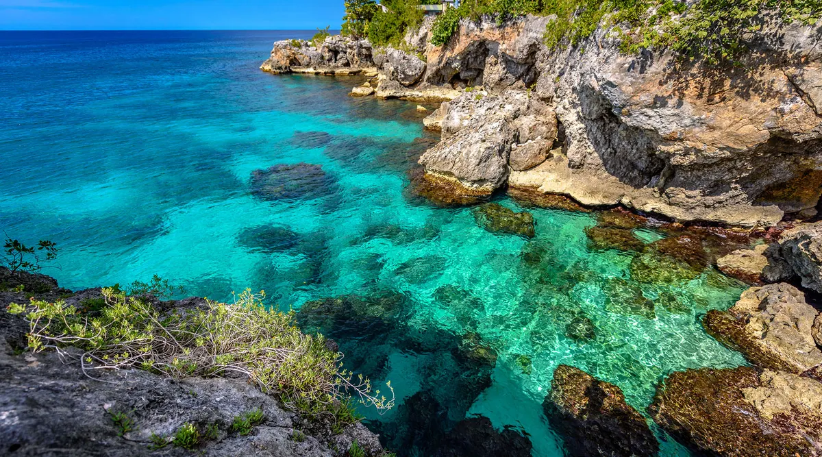 Jamaica Discovery