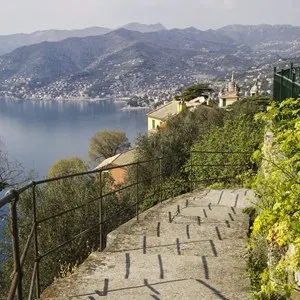 Hiking Trails