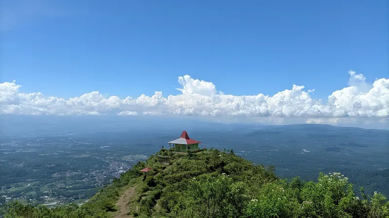 Andong