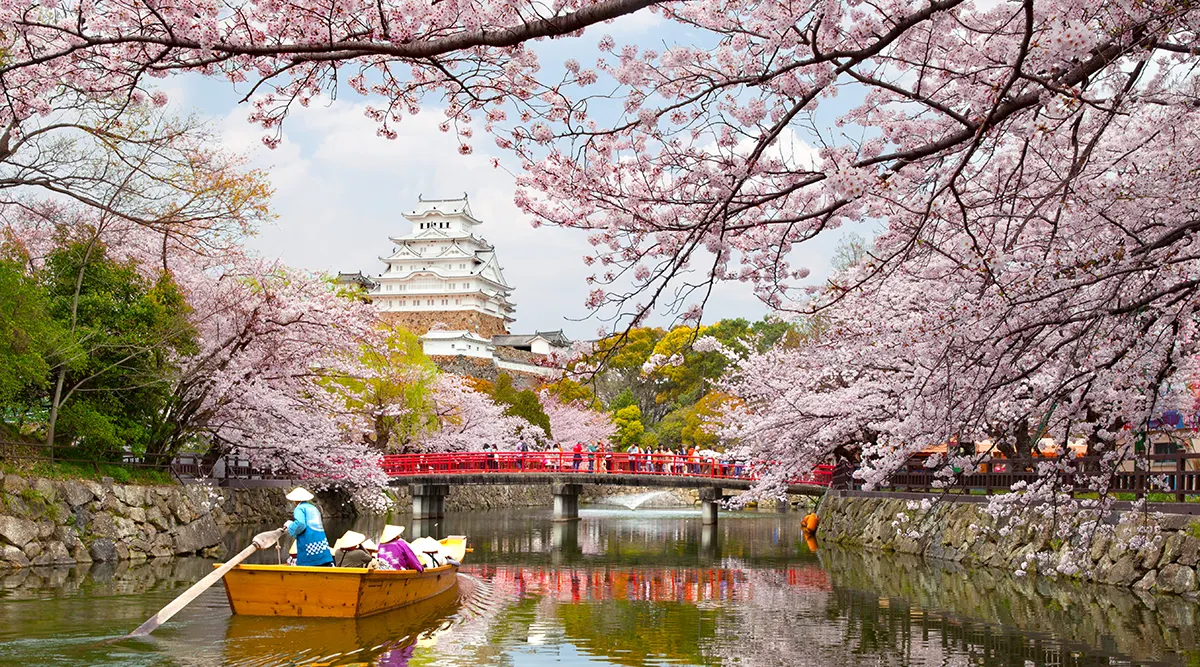 Kyoto Discovery