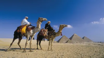 Imperial and Pharaonic Adventure 