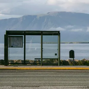 Public Transport