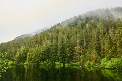 Sitka Stay Pre or Post CruiseImage