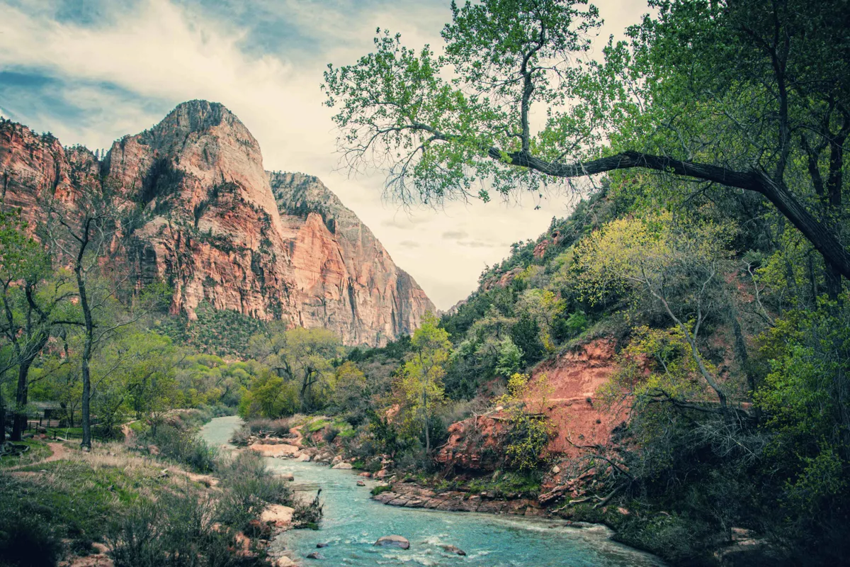 National Parks and Rockies To The Red Rocks Great Rail Journey