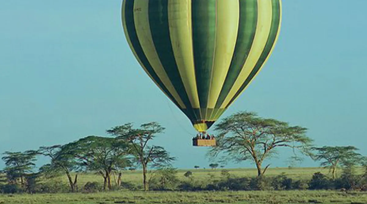 Arusha photo 7
