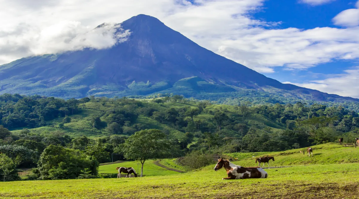 Costa Rica Self-Drive: From the Caribbean to the Pacific 