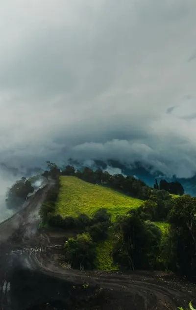 Cloud Forest