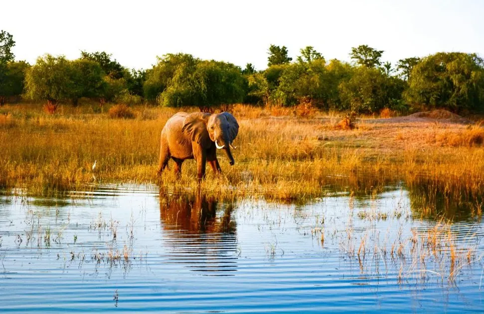 Victoria Falls  photo 2