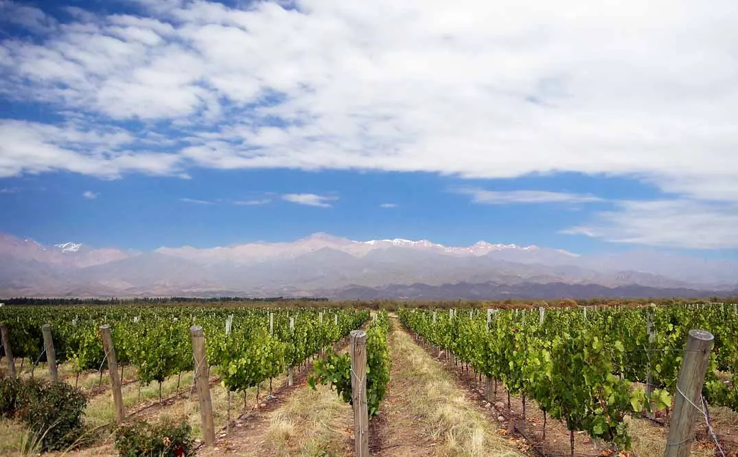 Jewels of Northern Argentina
