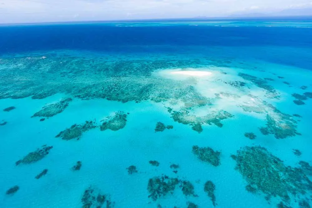 The Great Barrier Reef Escapade
