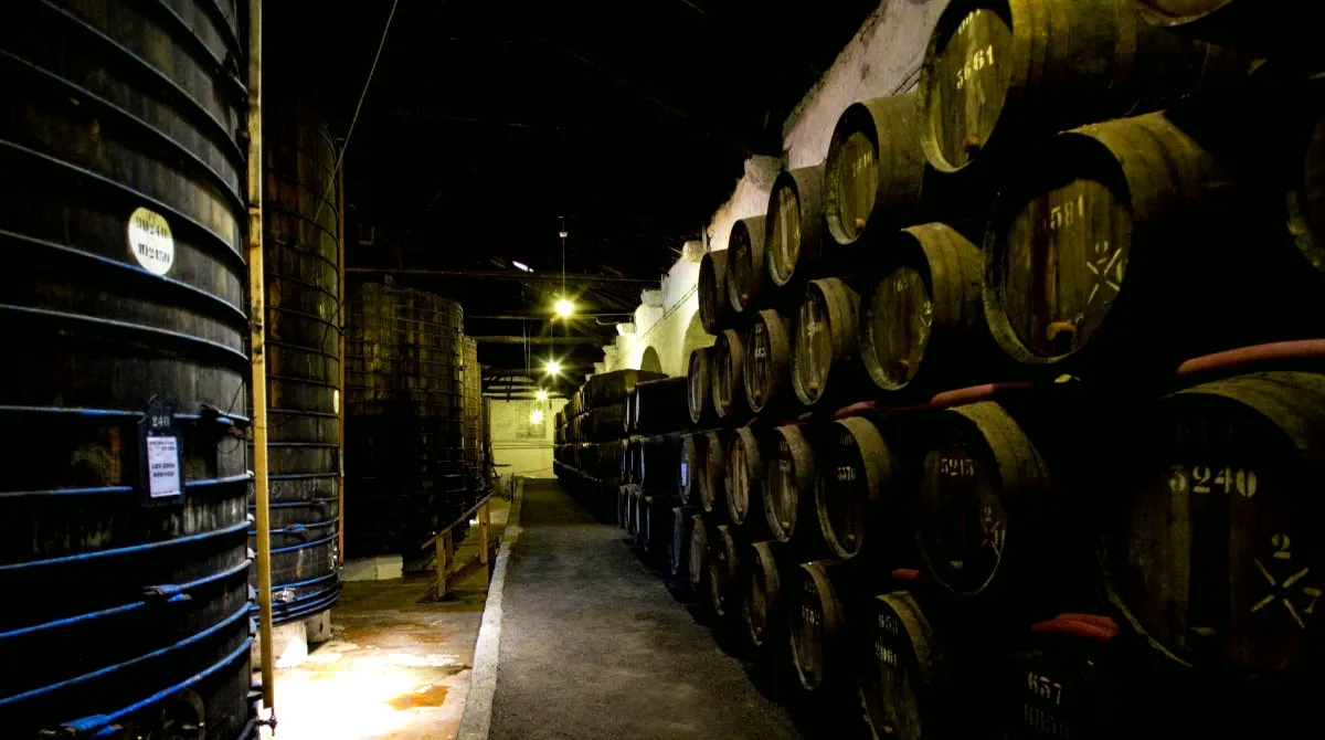 Porto Discovery
