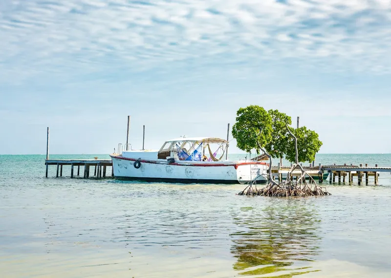 Caye Caulker
