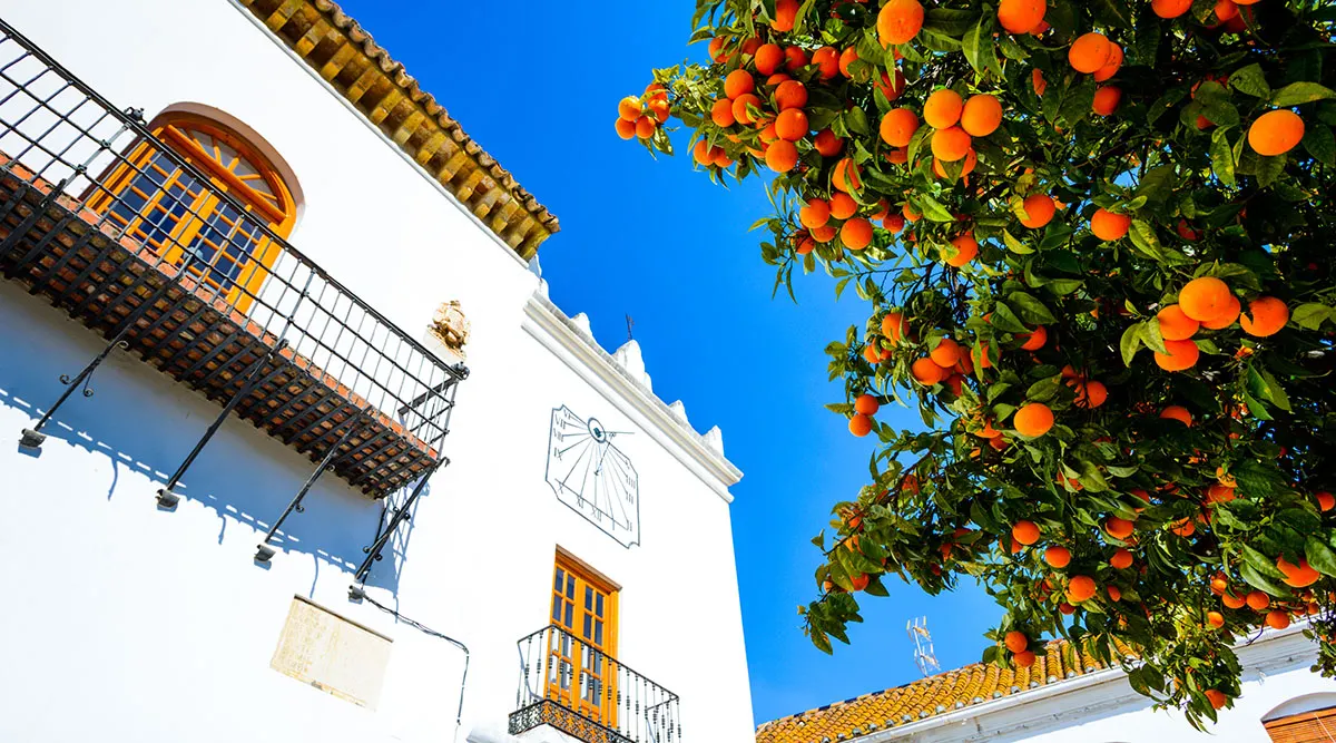 Madrid and Marbella Spanish Escapade