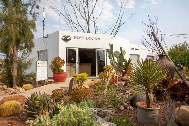 Main photo of Inverdoorn Private Game Reserve hotel