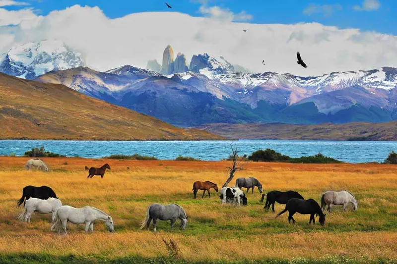 Torres Del Paine NP