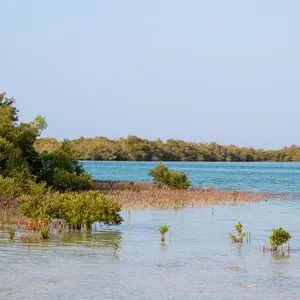 Nabq Nature Reserve