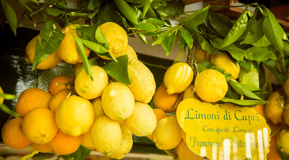 Italian Limoncello