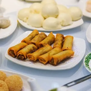 Chinese food, dim sum fried spring rolls