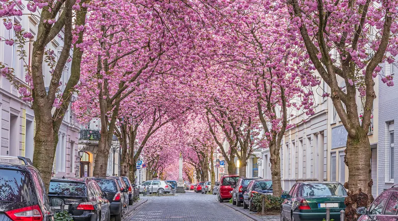 Bonn