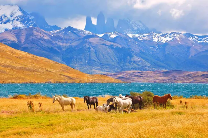 Torres Del Paine NP