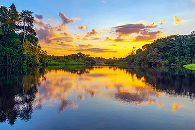 6 Day Peruvian Amazon CruiseImage