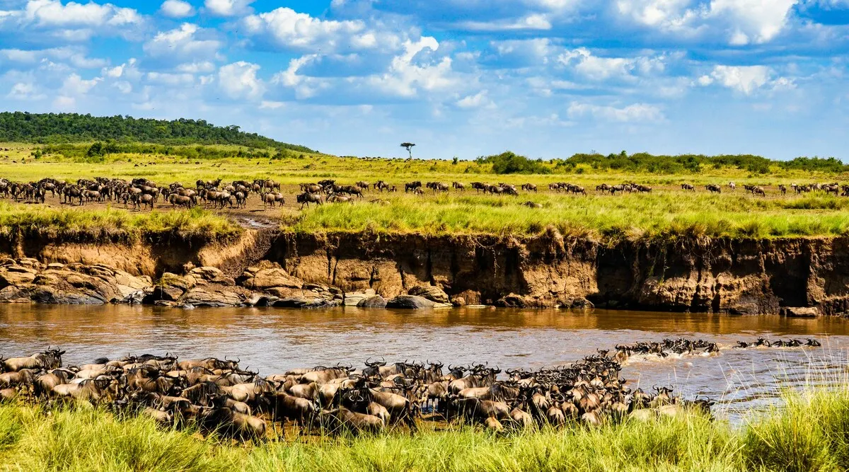 East African Explorer Shared Kenya & Tanzania Safari 