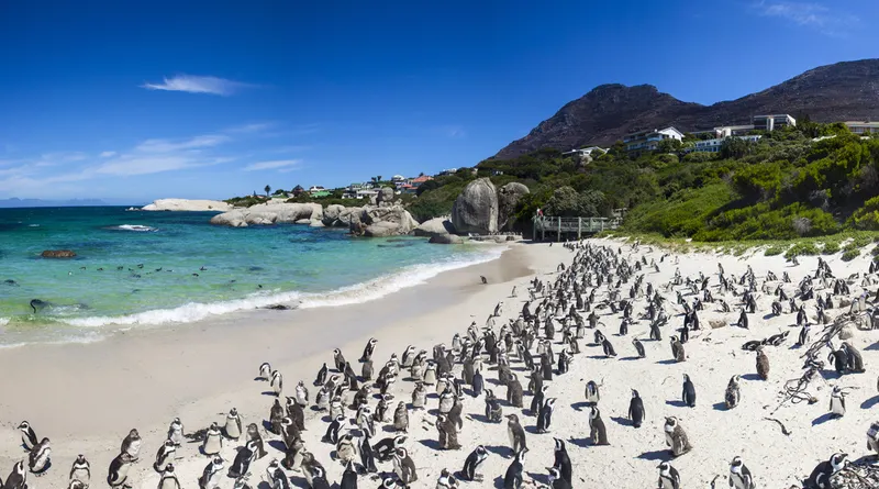 Cape Town 