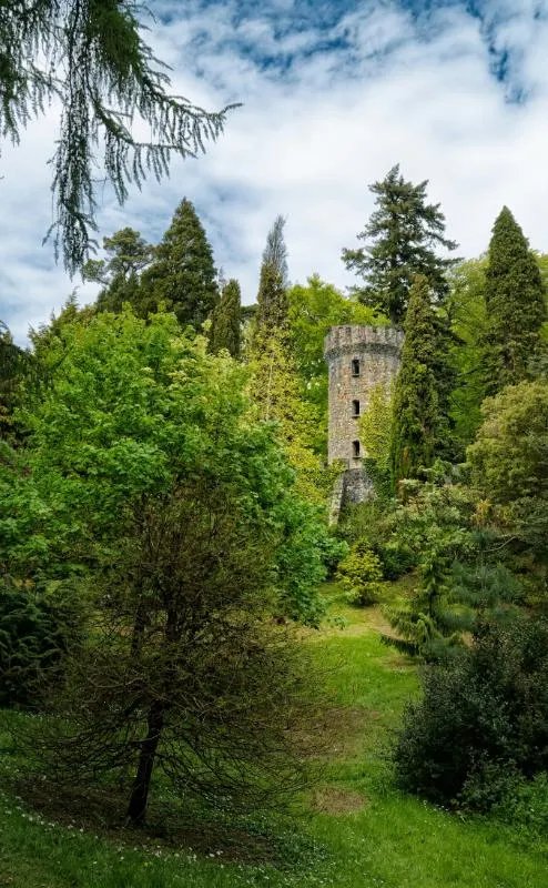 Private Journey to the Gardens of Ireland in Autumn