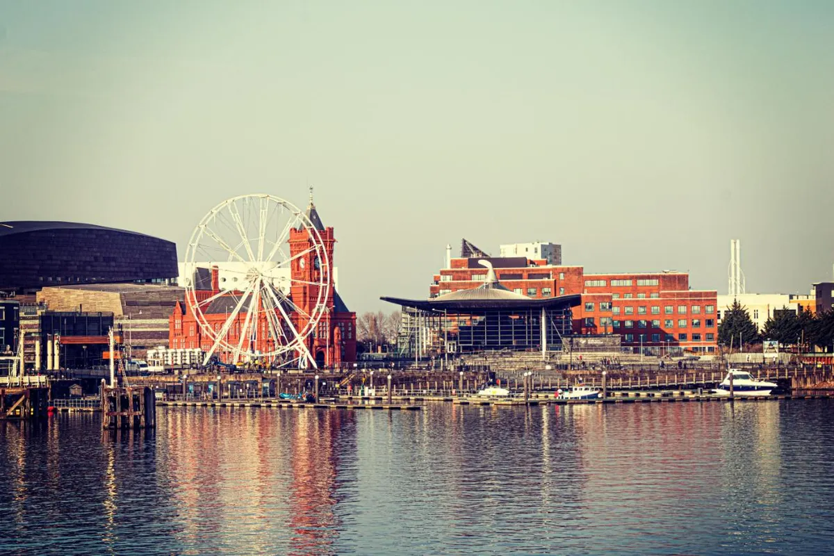 Cardiff Discovery