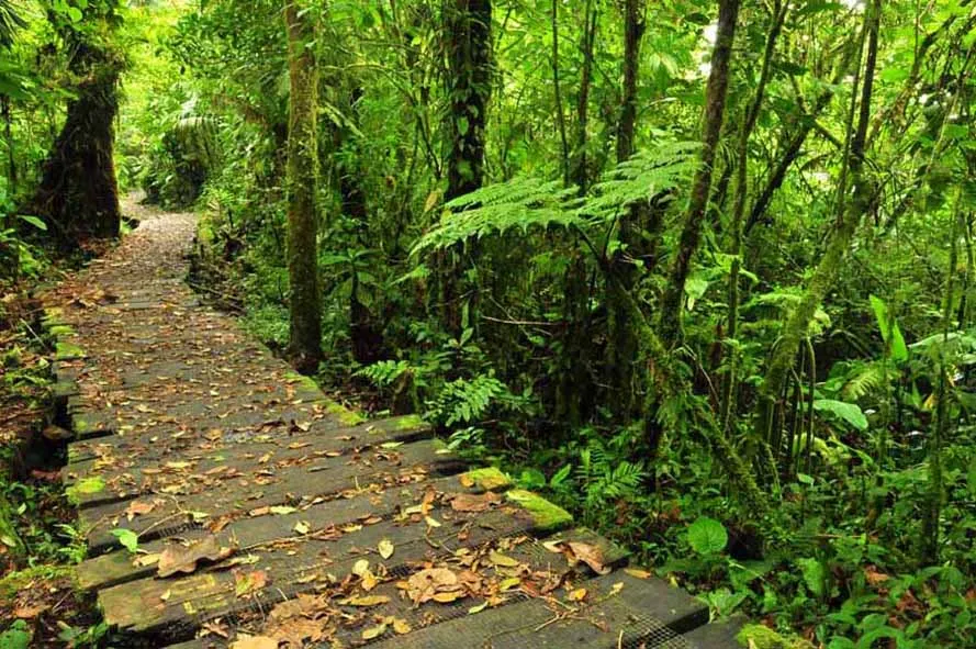 Costa Rica National Parks Explorer