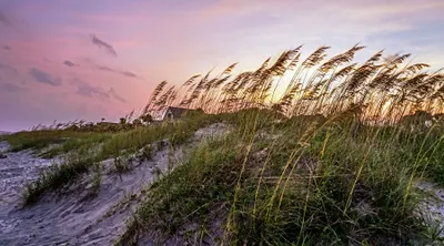 Hilton Head