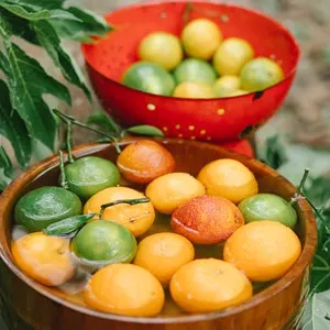 fresh fruits in water basket