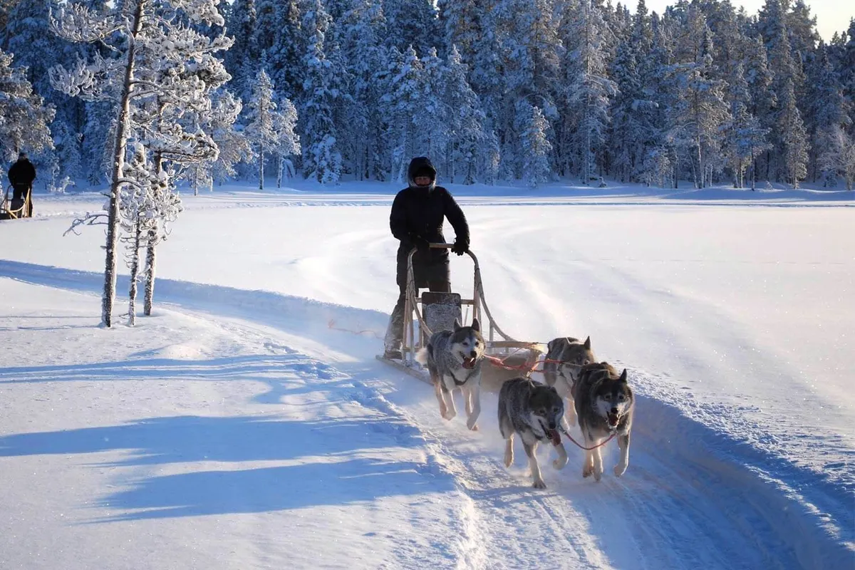 Norway's Winter Northern Lights Escapade
