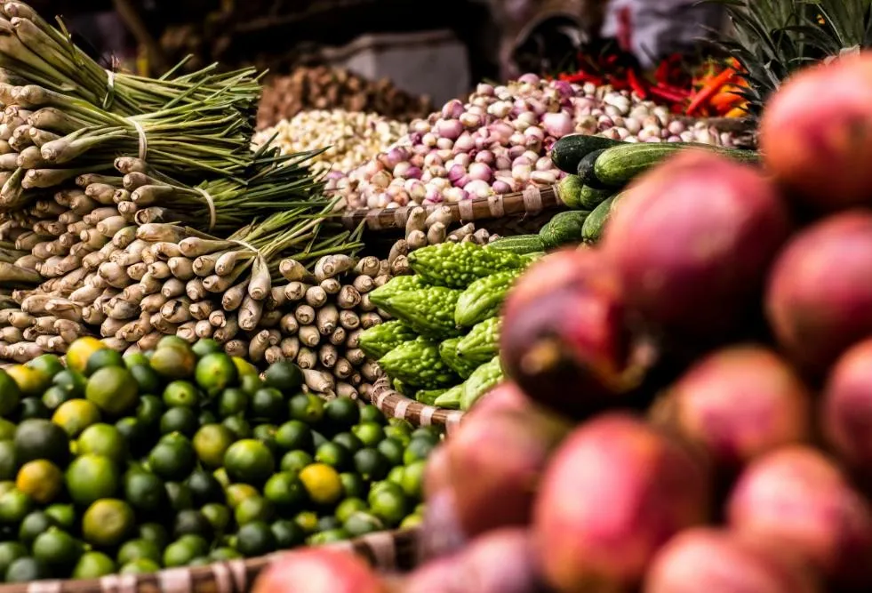 Peru Culinary Landscape Discovery