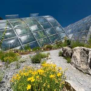 Botanischer Garten