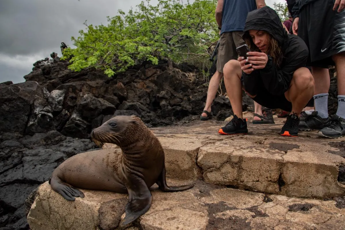 Galapagos Islands Southern Route Cruise Aboard MC Alya