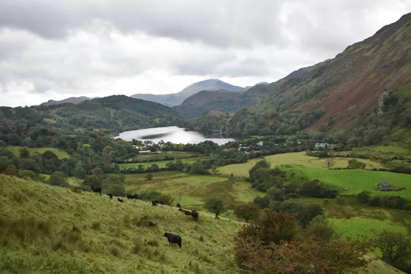 Snowdonia