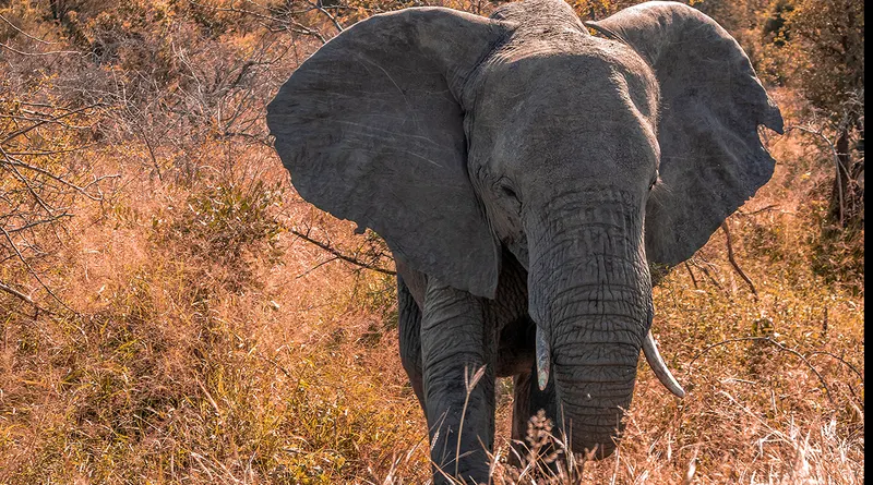 Sanbona Wildlife Reserve
