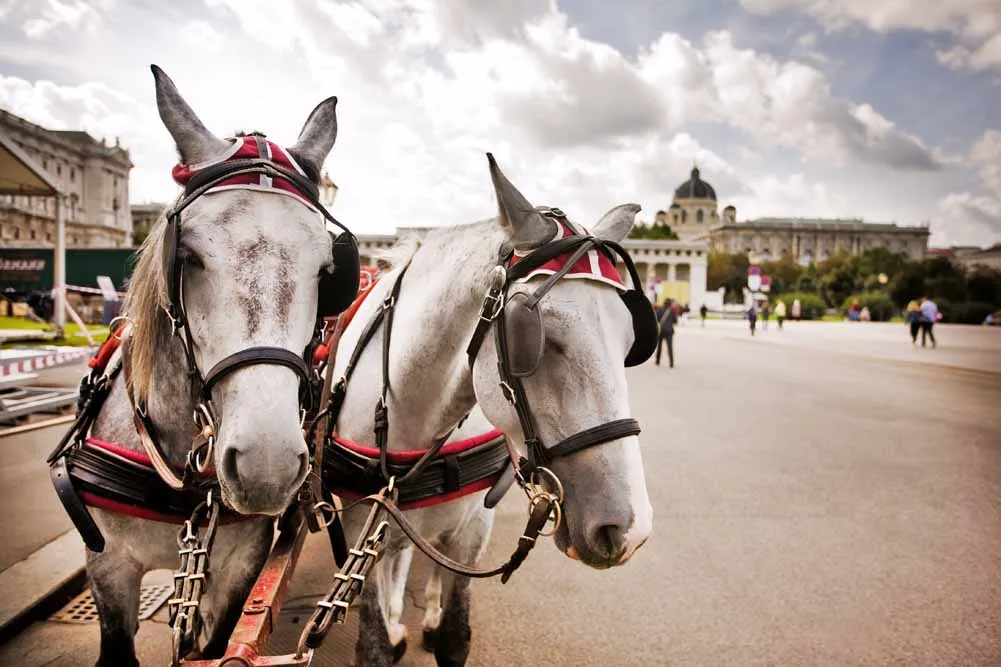 An Enchanting Christmas in Austria