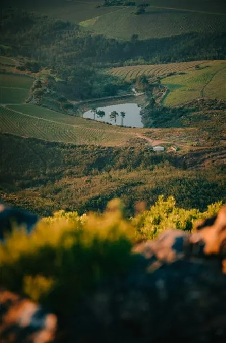 Cape Town & Durban Collection Aboard Rovos Rail