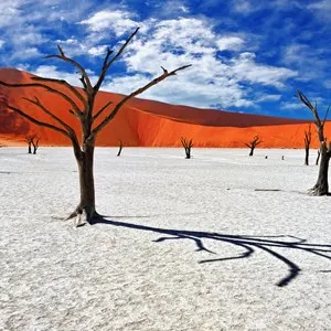 Namib-Naukluft National Park